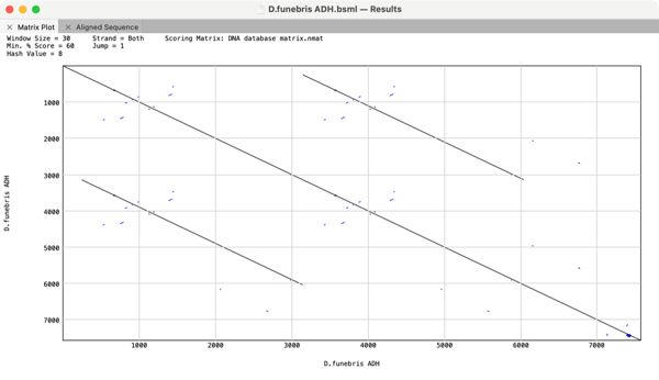 MacVectorTip: Use self comparison matrix analysis to identify repeats and inversions