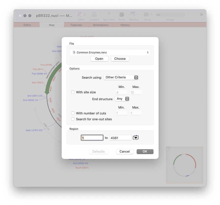 The Setup dialog shown for the Restriction Enzyme Analysis tool