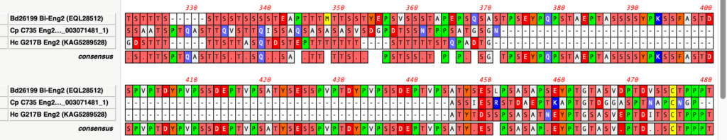 Three sequences aligned together.
