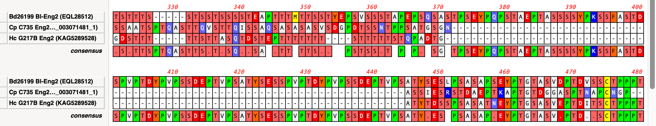 Handling Gaps in Multiple Sequence Alignment Consensus Calculations