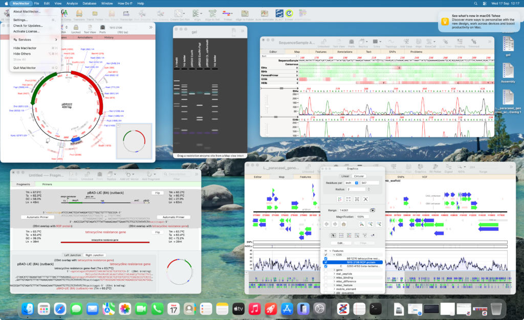 a macOS Tahoe desktop showing multiple windows with a background of a lake.