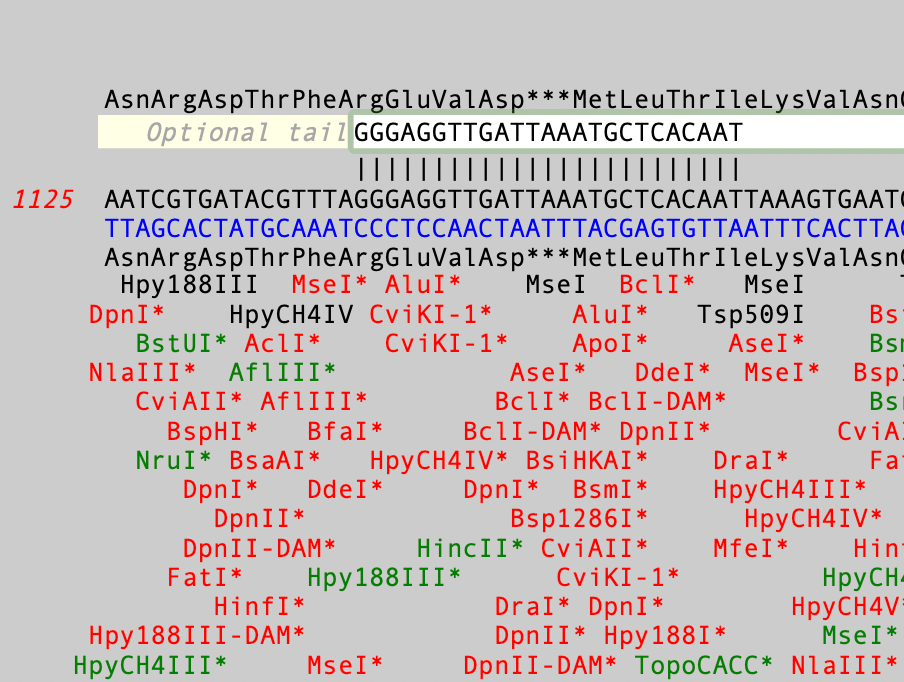 A macOS dialog showing multiple restriction enzymes sites and a primer sequence