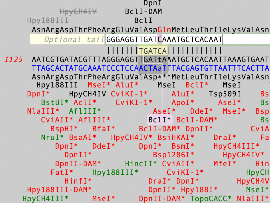 MacVectorTip: Use Quicktest Primer to design primers that change encoded amino acids and create restriction enzyme sites