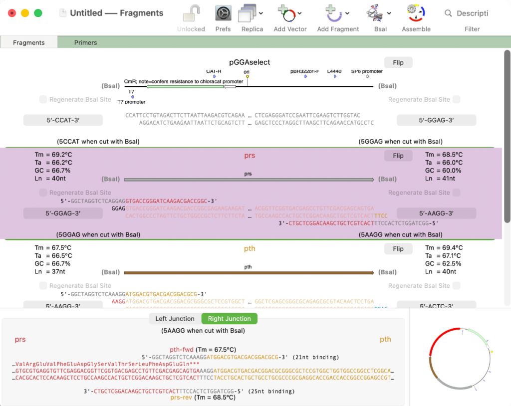 Golden Gate Cloning in MacVector's Cloning Project Manager